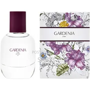 Original Zara Perfumes for Women