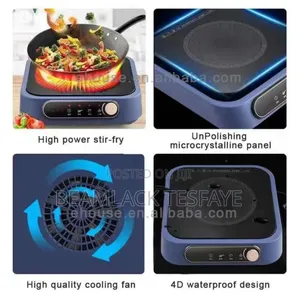 Saachi Electric Digital Stove