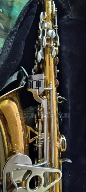 Professional Alto Saxophone