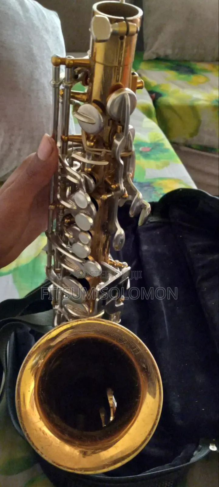 Professional Alto Saxophone