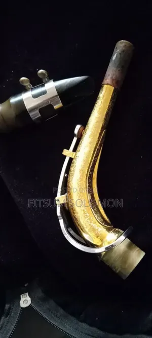 Professional Alto Saxophone