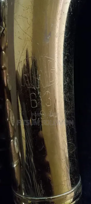 Professional Alto Saxophone