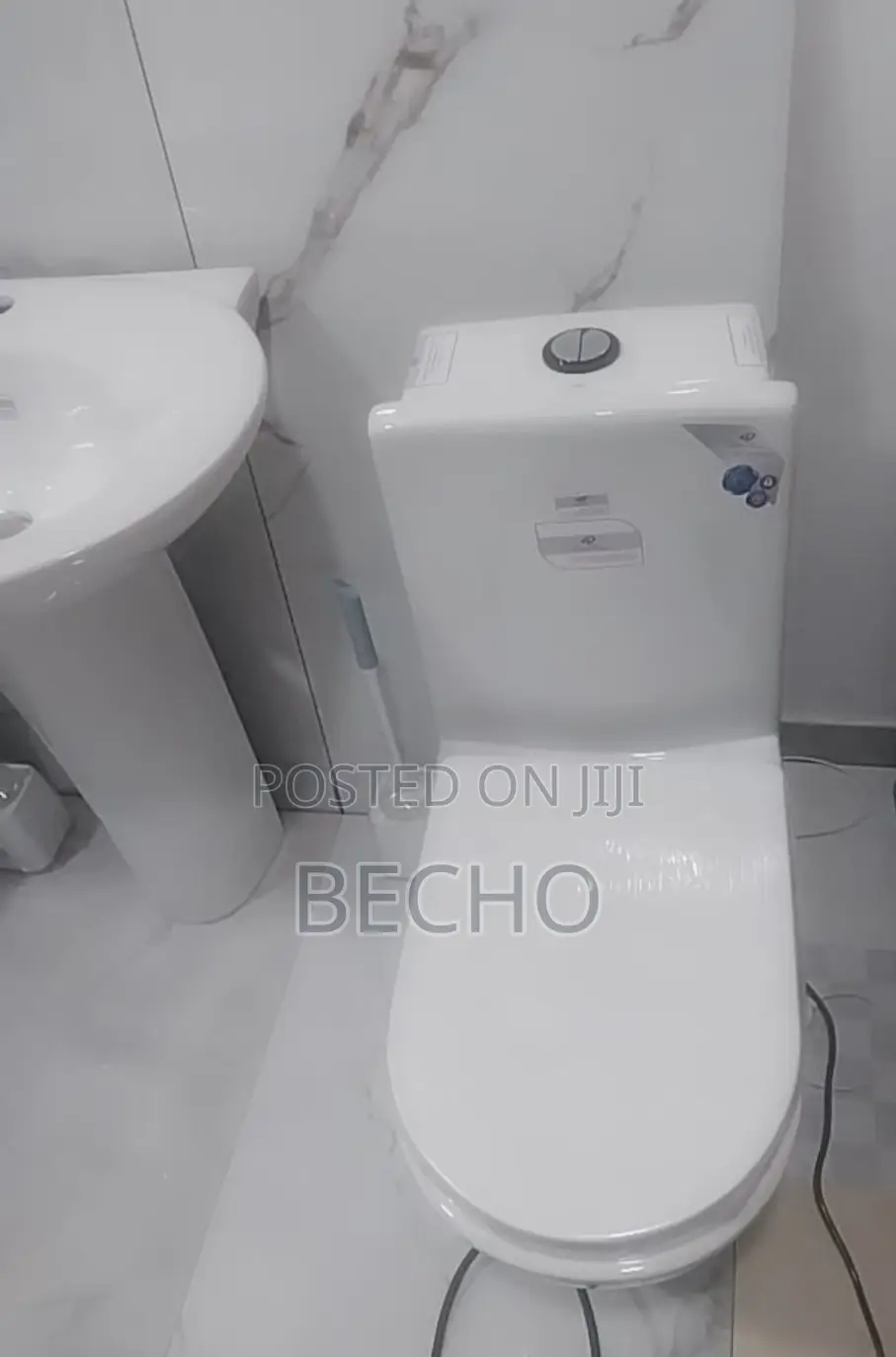 Golden Dragon Toilet