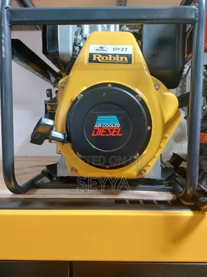 Robin Diesel Generator Rgd3310