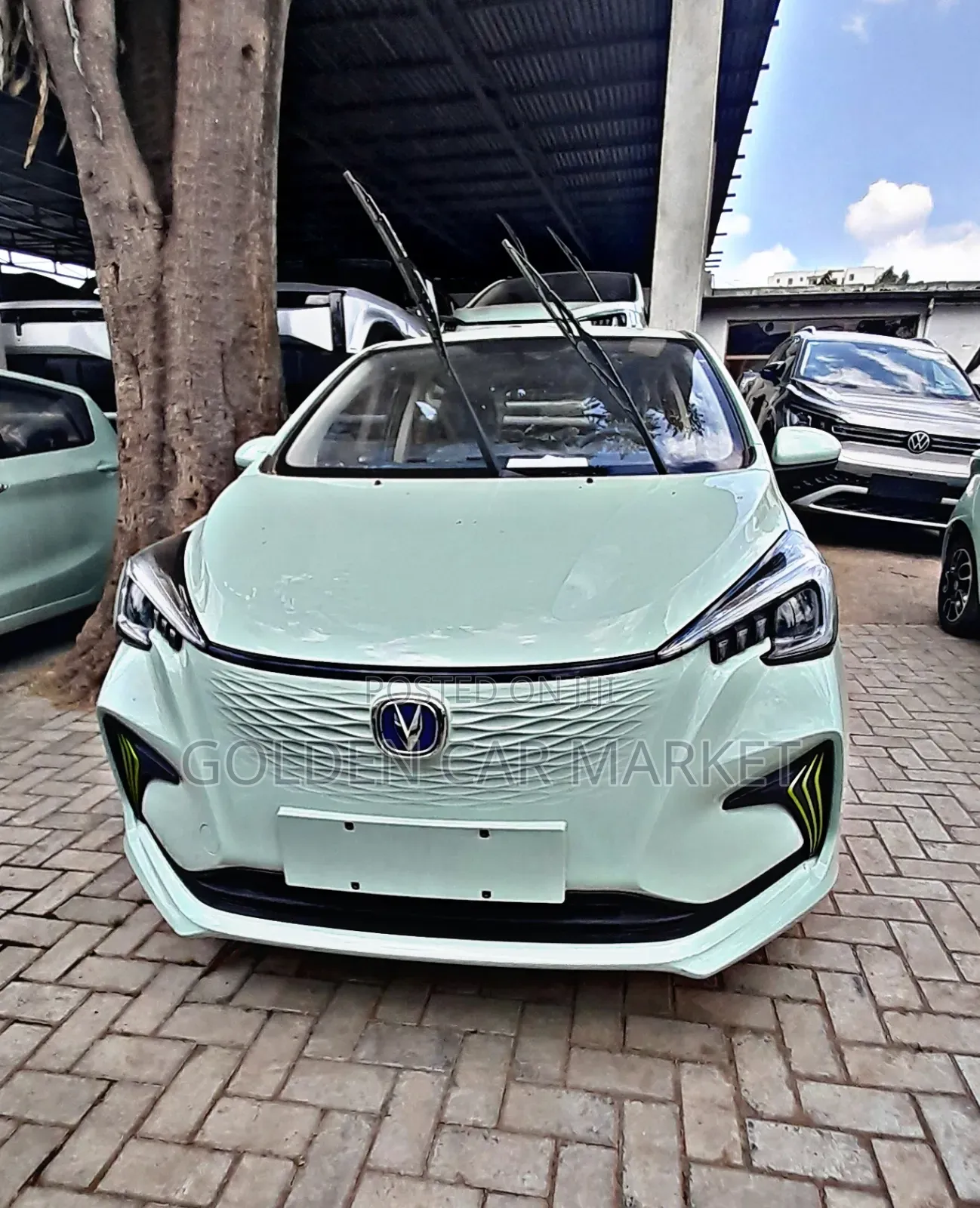 New Changan BenBen E-Star 2024 Green