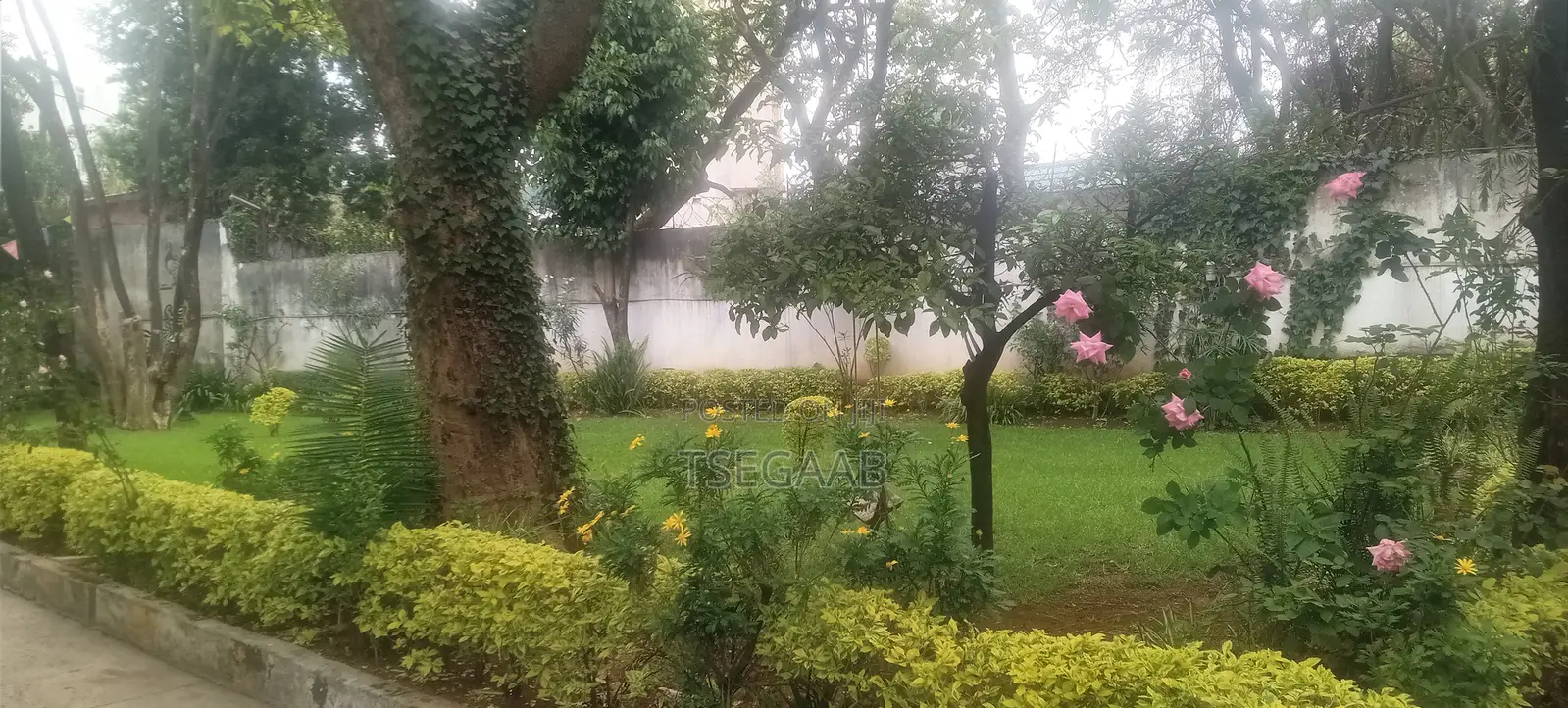 5bdrm Duplex in Kolfe Keranio for rent