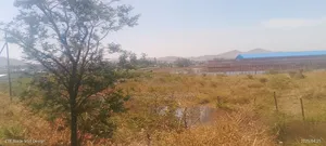 7000 ካሬ ባዶ ቦታ የታጠረ