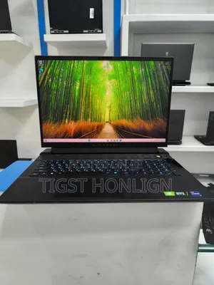 New Laptop Alienware M17x R2 32GB Intel Core I9 SSD 2T