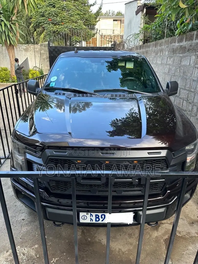 Ford F-150 2020 Brown