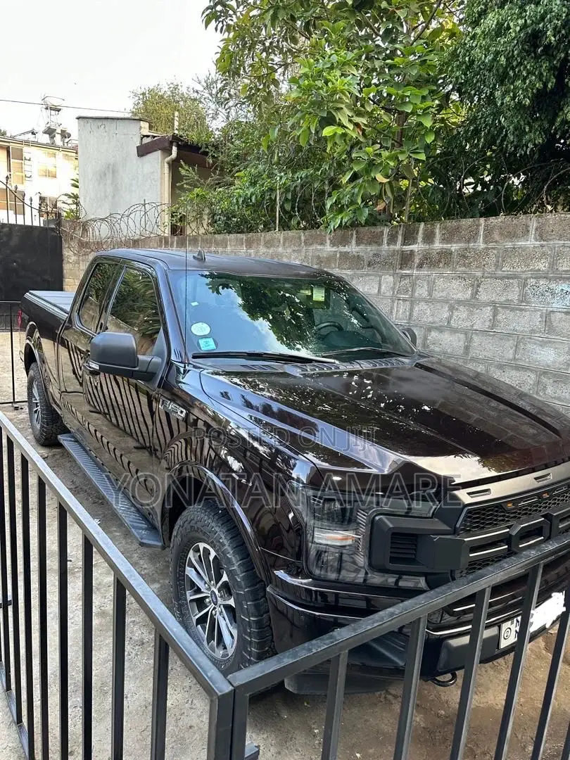 Ford F-150 2020 Brown