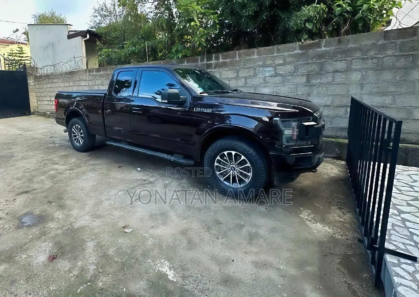 Ford F-150 2020 Brown