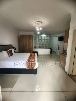 Furnished 1bdrm Apartment in Bole for rent
