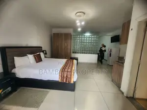 Furnished 1bdrm Apartment in Bole for rent