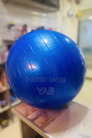Photo - Gym Ball Small