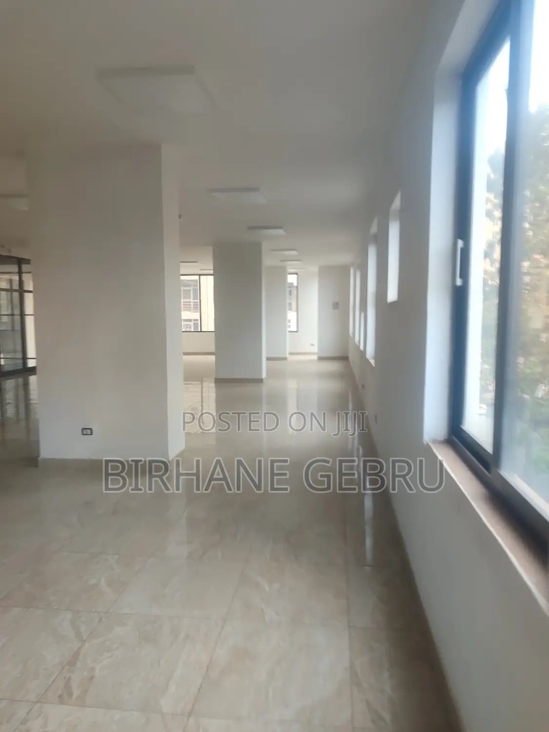 Luxury Apartiment Rent for Office