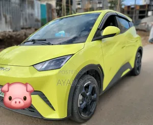 Photo - BYD Seagull 2024