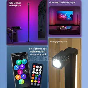 Detachable Led Floor Lamp With Spotlight