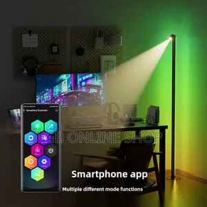 Detachable Led Floor Lamp With Spotlight