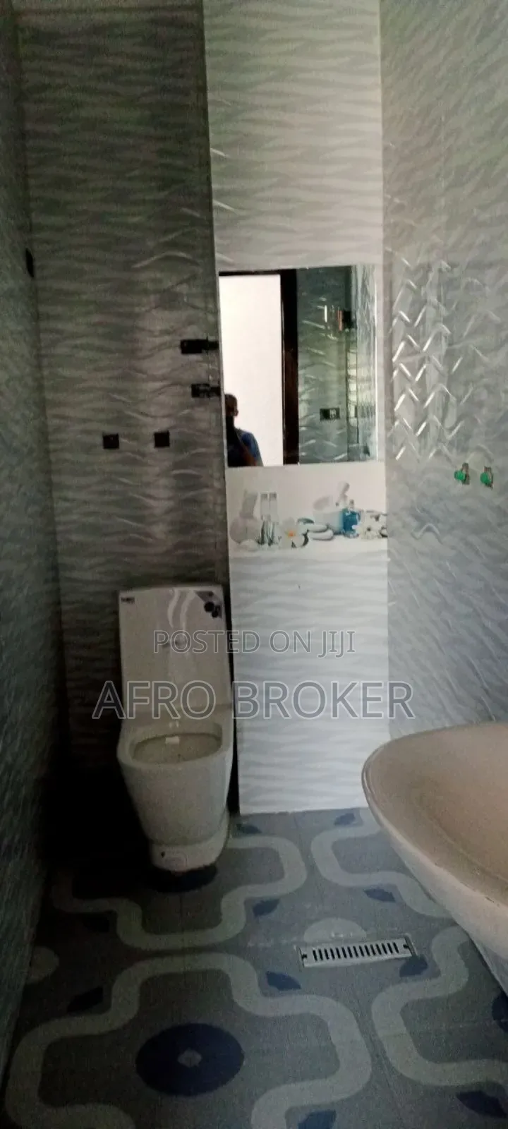 Furnished 5bdrm House in Alem Bank, Akaky Kaliti for sale