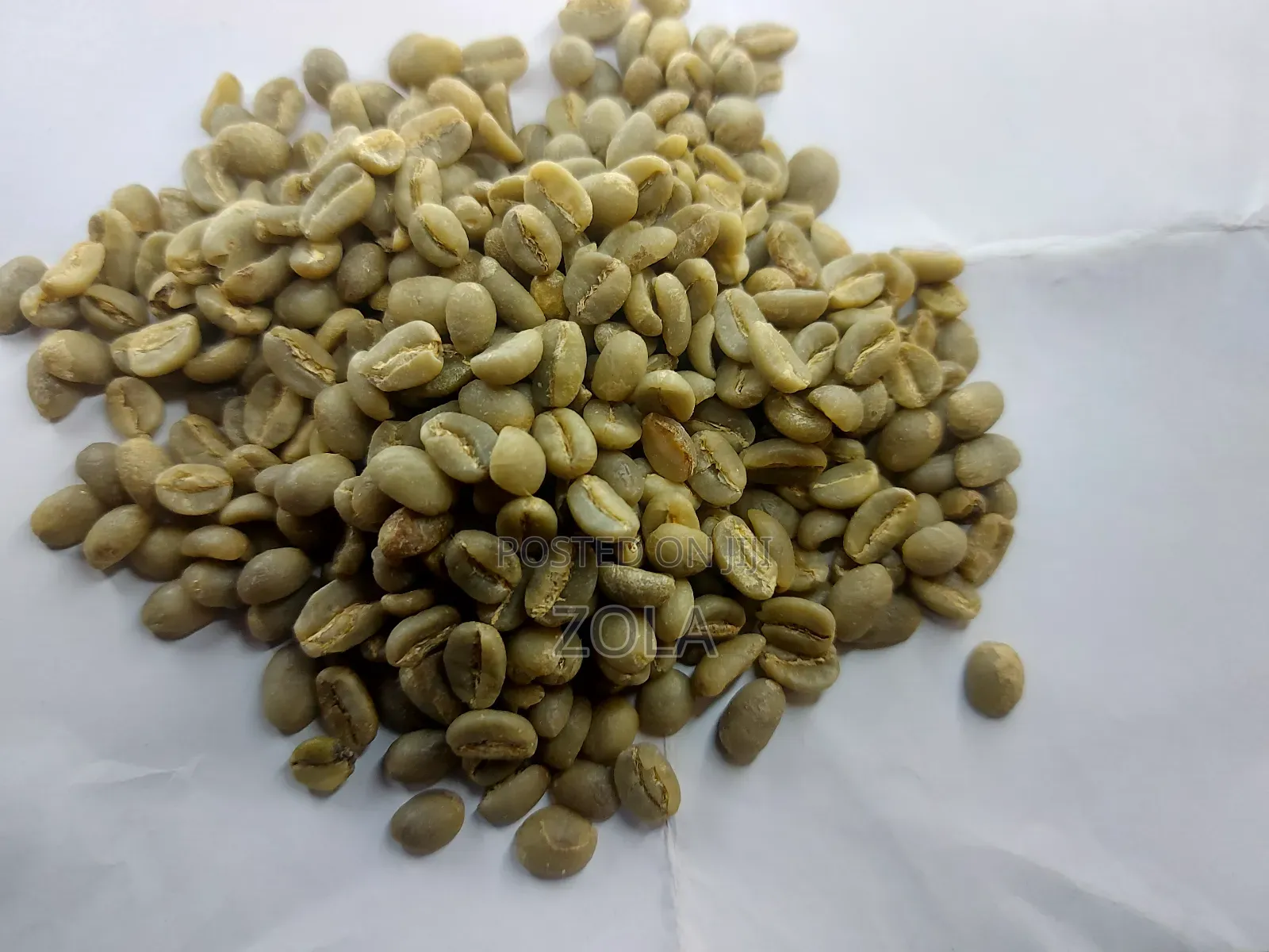 Coffee of Yergachefe | የይርጋጨፌ ቡና