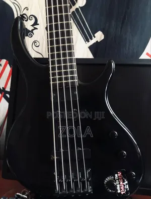 Ephiphone Tobias Deluxe 5 Bass 
Active 5string Bass