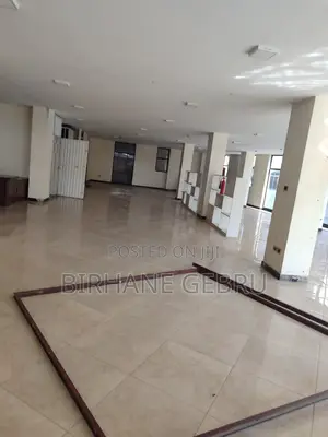 Luxury Apartiment Rent for Office or Business