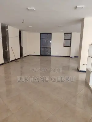 Luxury Apartiment Rent for Office or Business