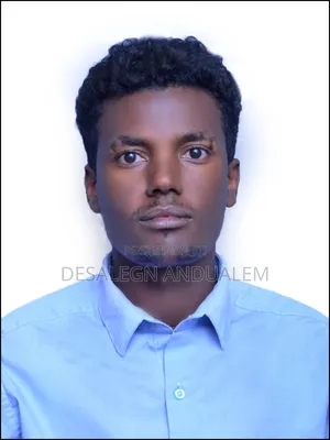 Photo - Part Time Accountant