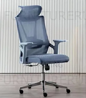 Modern Office Manager Chair