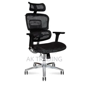 Modern Ergonomic Chair