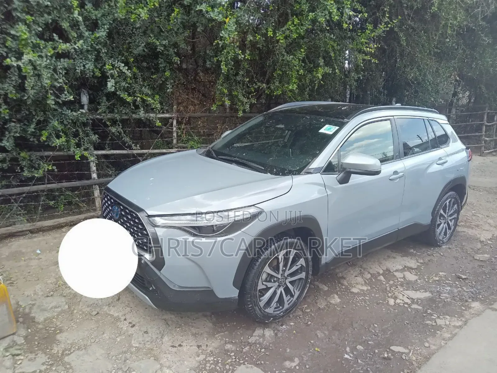 Toyota Corolla Cross 2023 Green