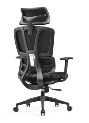 Ergonmic Chair Full Mash
