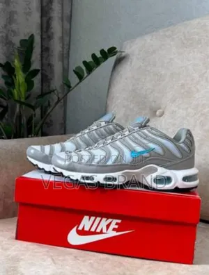 Photo - Nike Air Max Tn Gray Blue Master Quality Shoes