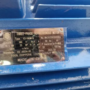 Three Phase Asynchronous Motor