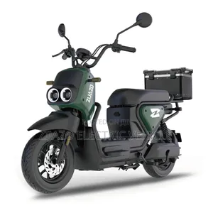 Photo - New Motorcycle 2024 Green