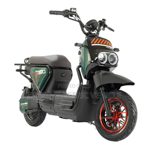New Motorcycle 2024 Green