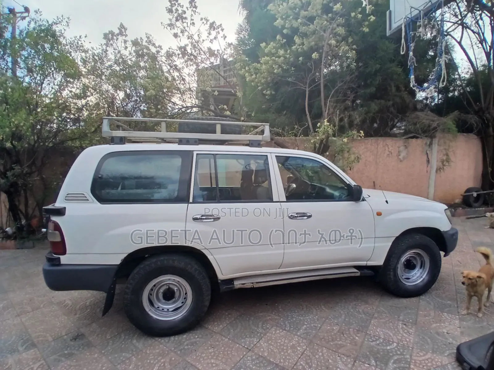 Toyota Land Cruiser 2002 White