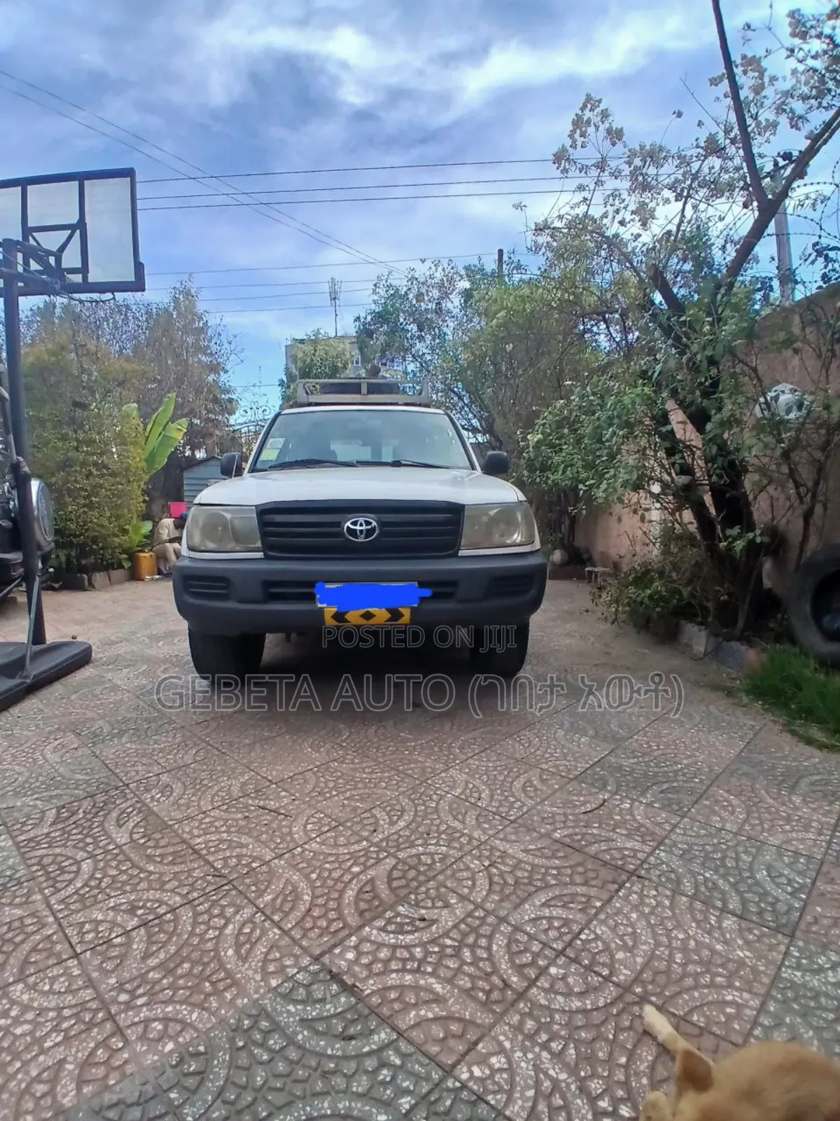 Toyota Land Cruiser 2002 White