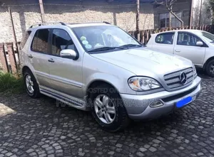 Mercedes-Benz M Class 2005 Silver