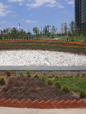 11bdrm Villa in Bole for sale