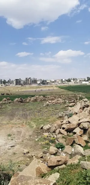 800 Plots of Land for Sale