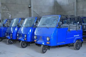 Photo - New Bajaj 2024 Blue