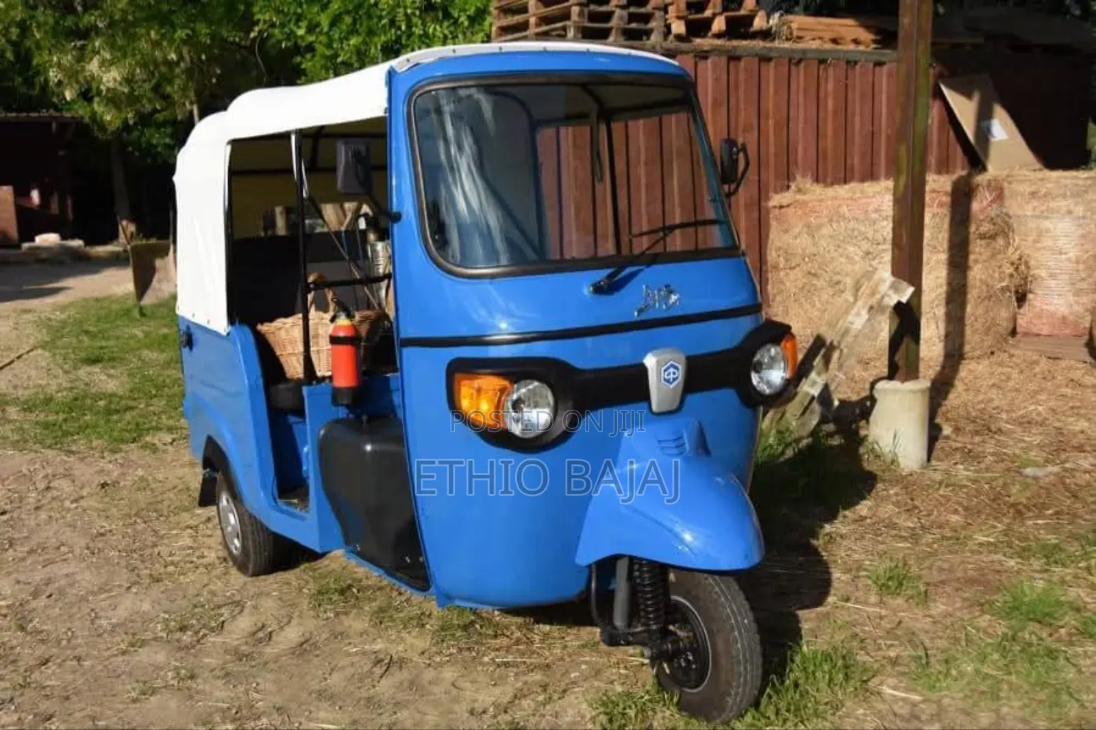 New Piaggio 2024 Blue