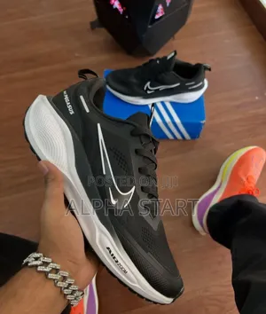 Nike Pegasus High Master Quality Shoes for You