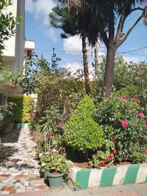 5bdrm House in የታደሰ የአያት ቤት ኮፓውንድ, Bole for sale