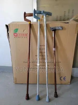 Photo - Cane /T-Handle Walking Stick Bes-Wa09