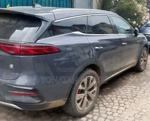 BYD Tang DM-i 2024 Gray