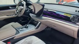 BYD Tang DM-i 2024 Gray