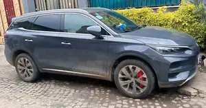 BYD Tang DM-i 2024 Gray