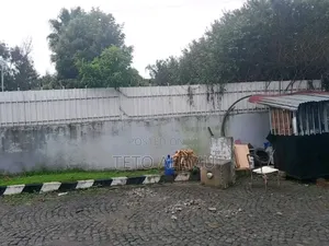 ሽያጭ ቦታ ኤል ሸፕ ያለው አያት ዞኖች ውስጥ 500 ካሬ 32 ሚሊዮን ብር